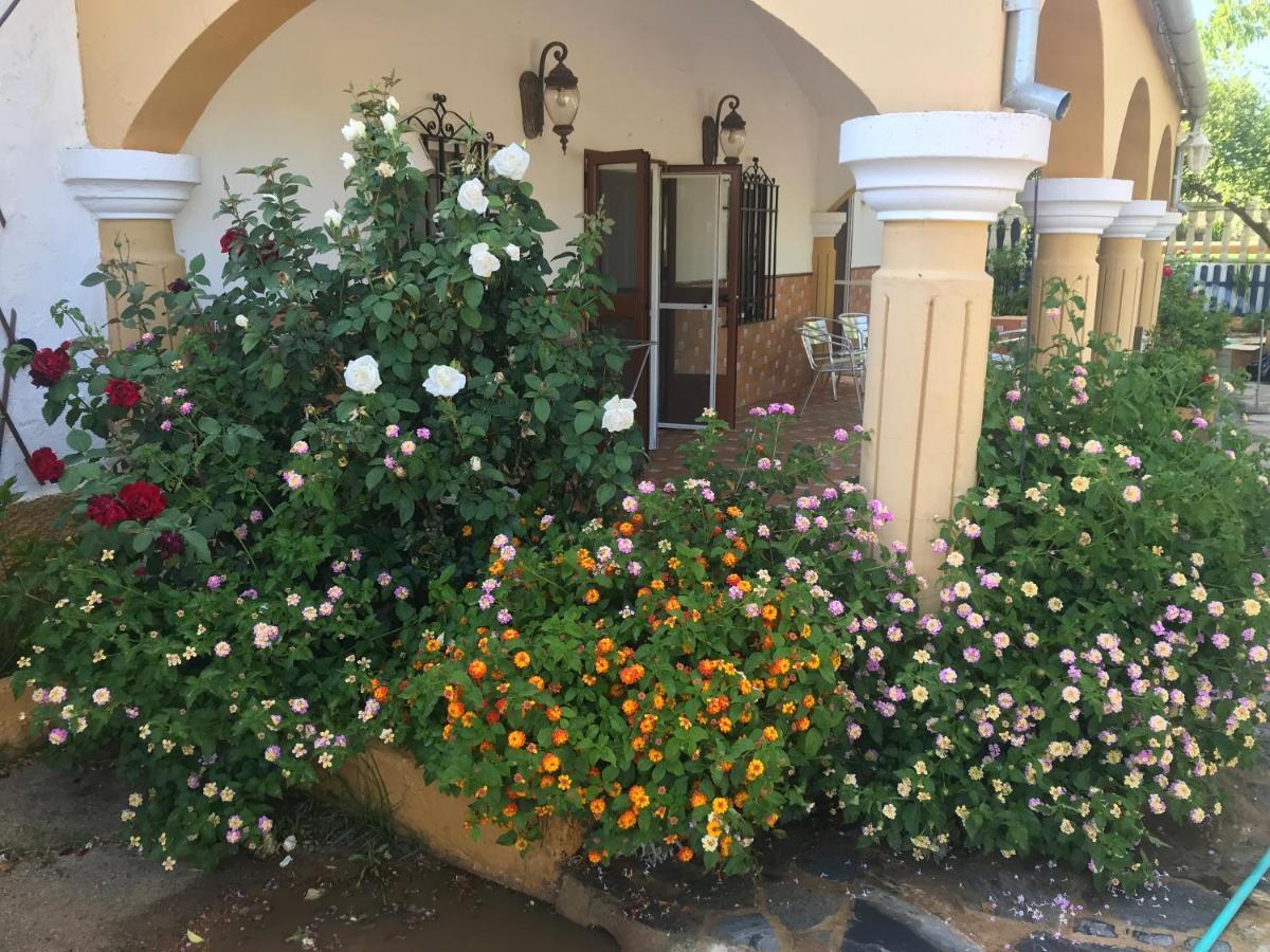 Finca La Rosalia Setenil De Las Bodegas Exterior foto